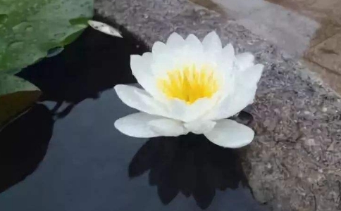 ԩծĺ÷ʽǴȱ