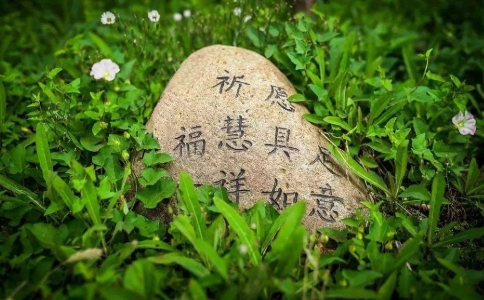 طʦѧڲҳ