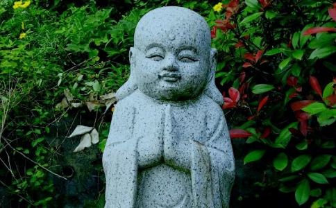 ʦԸųΪʲôҪΣ