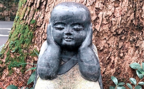 Դʦȴ˵£ô죿