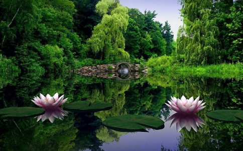 ʦԵͷԵʲô