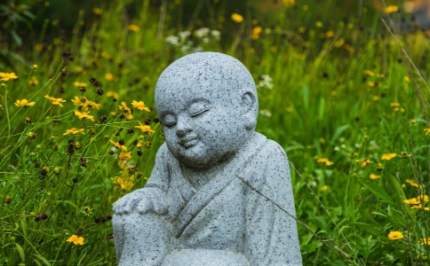 ûǮôʩֲǮĲʩ