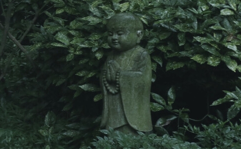 ʦԼģչԽԼ