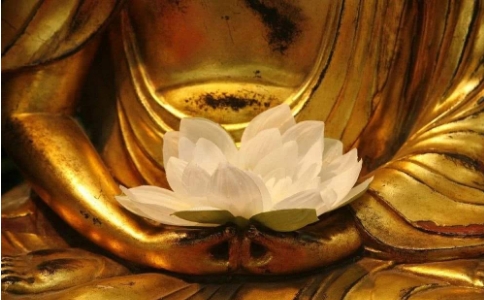 ƶʩѣûǮĻ治˼