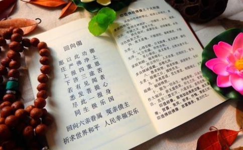 ʦԵ飿