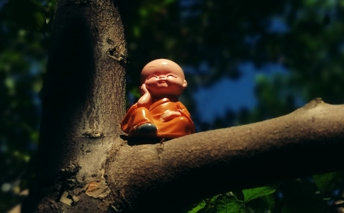 淨ʦԵ۾ǹϵۡ