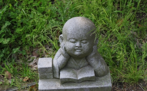 Դʦʲôе˼