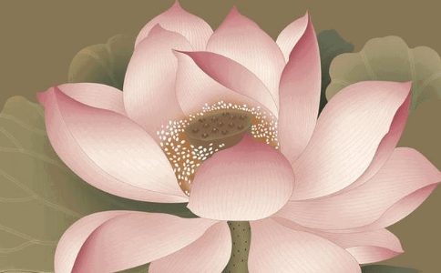編ʦաԾںҪ