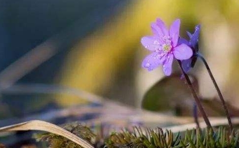 ڵʦƶ壬Եöʲô˼
