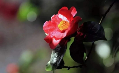 Եʲô˼