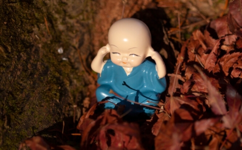 Ʒʦװɵɵ