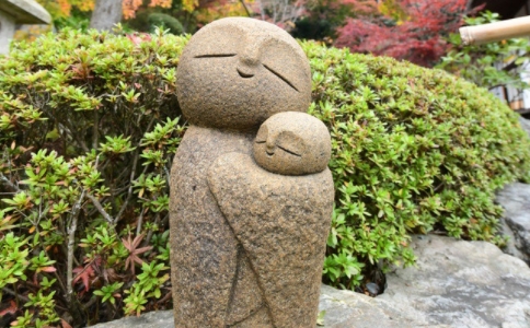 еľʲô˼