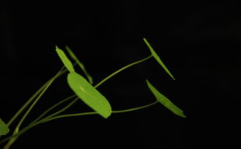 ʦΪʲôҪࣿ