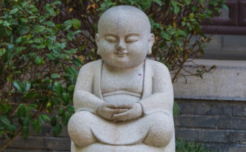 ʦΪʲô˺
