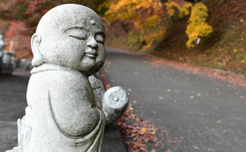ʦ䶨ļ