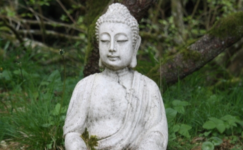 ԴʦΪʲôҪ޹ʲôô