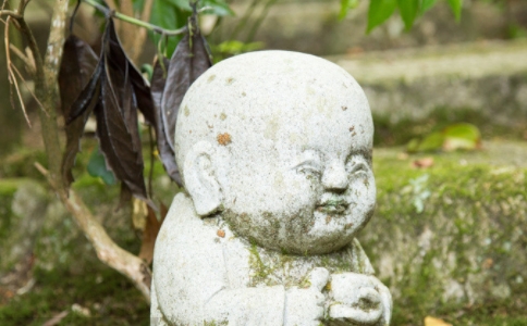淨ʦʲôǲʩʩΪ֣