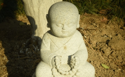 Դʦʲô˼̲ݵ˼