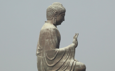 Դʦʲô˼