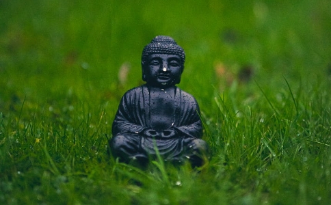ʦۻෳԾȣ뷳գõ