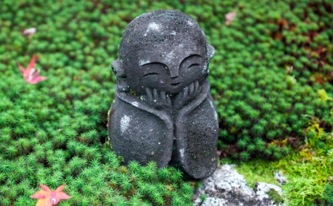 ʦģô֪鷢ʱʱ