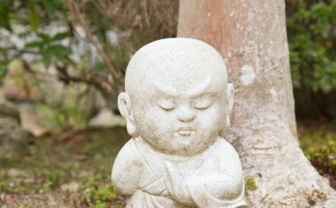 淨ʦν֢֢