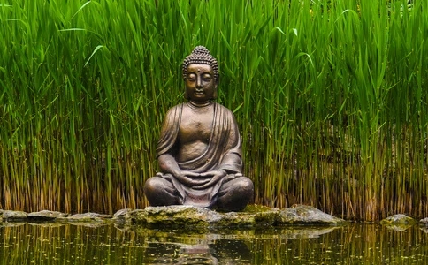 如何才能真正生起强大而深刻的厌离之心？