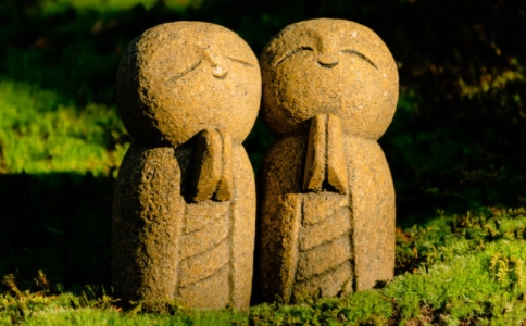 зʦ˵˹Ӧһָ𣬶һֿ