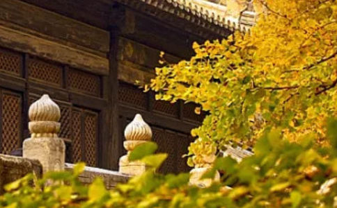 供养寺院还不顺，家人不让去怎么做才周全？