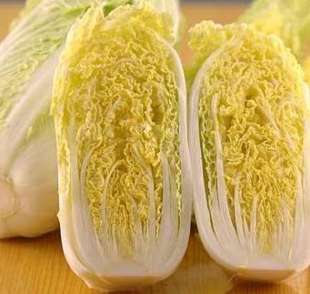 ޲˵