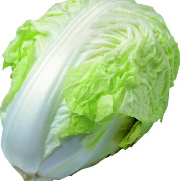 ײ˵ʳƹЧ