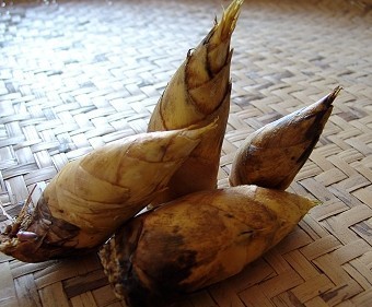 ȫ