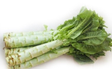 ݫĵĹЧ