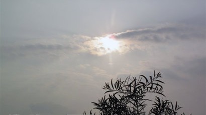 ʱõڹҸ
