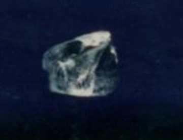 ʦʯͼ