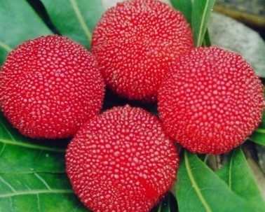 ÷