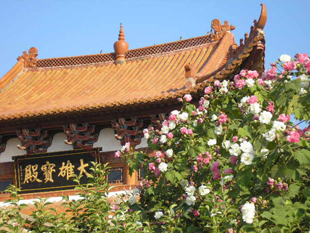 ݳ縣