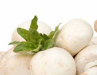 Ģ