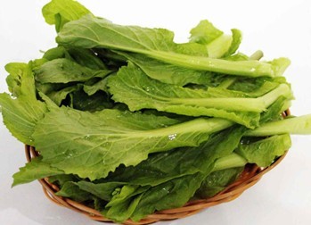 ˵
