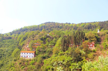 Ժȫ