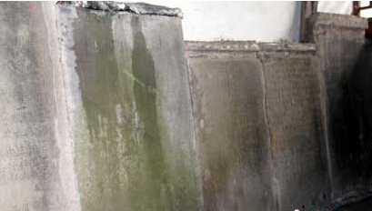 ϰղĹ