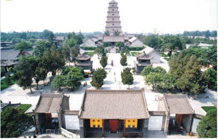 ȶ