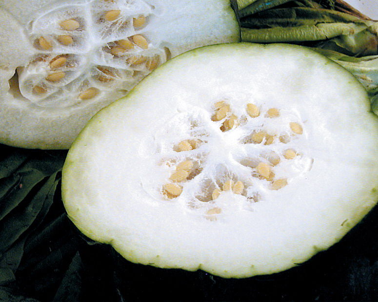 6ʹϹԽԽ