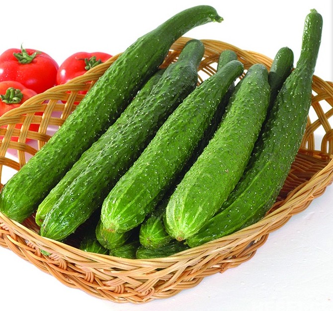 6ʹϹԽԽ