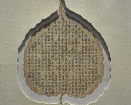 վӦ֮
